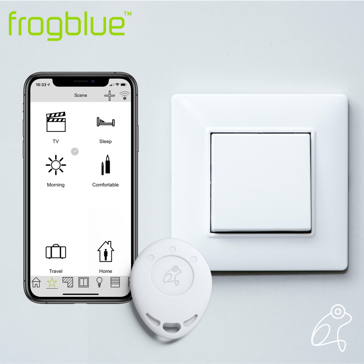 Frogblue installation