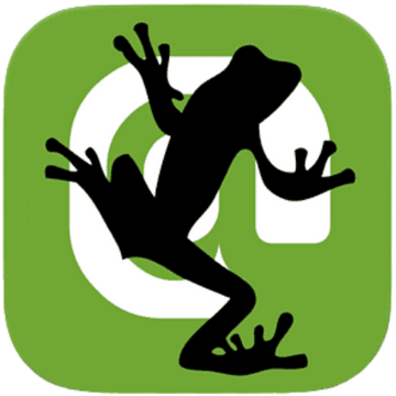 screamingfrog icon