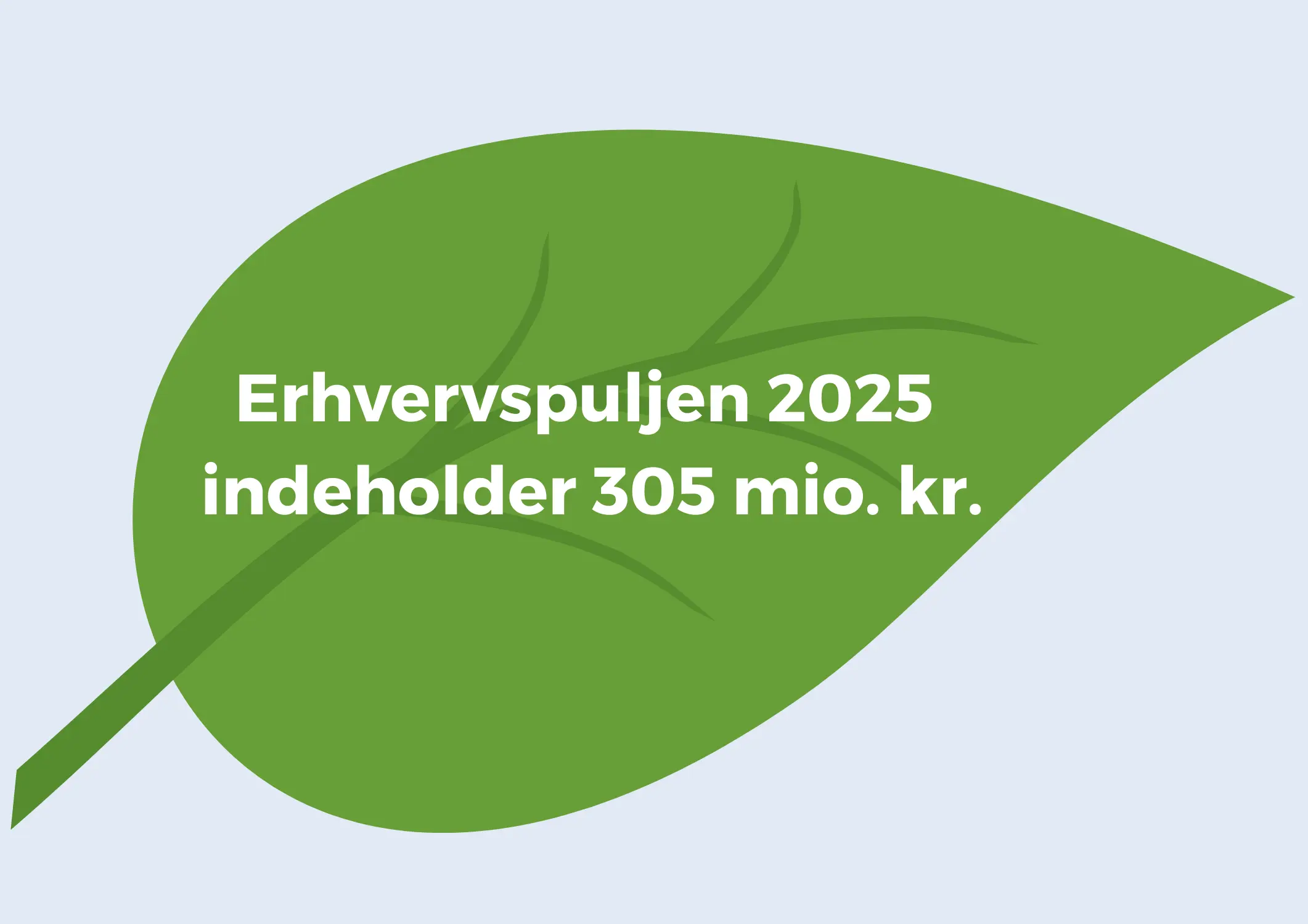 Erhvervspuljen 2025 indeholder 300 mio.