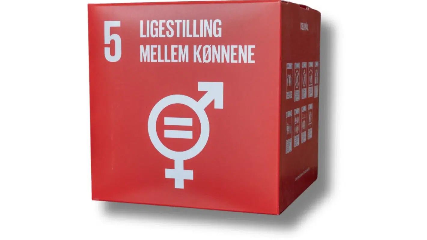 FN verdensmål 5