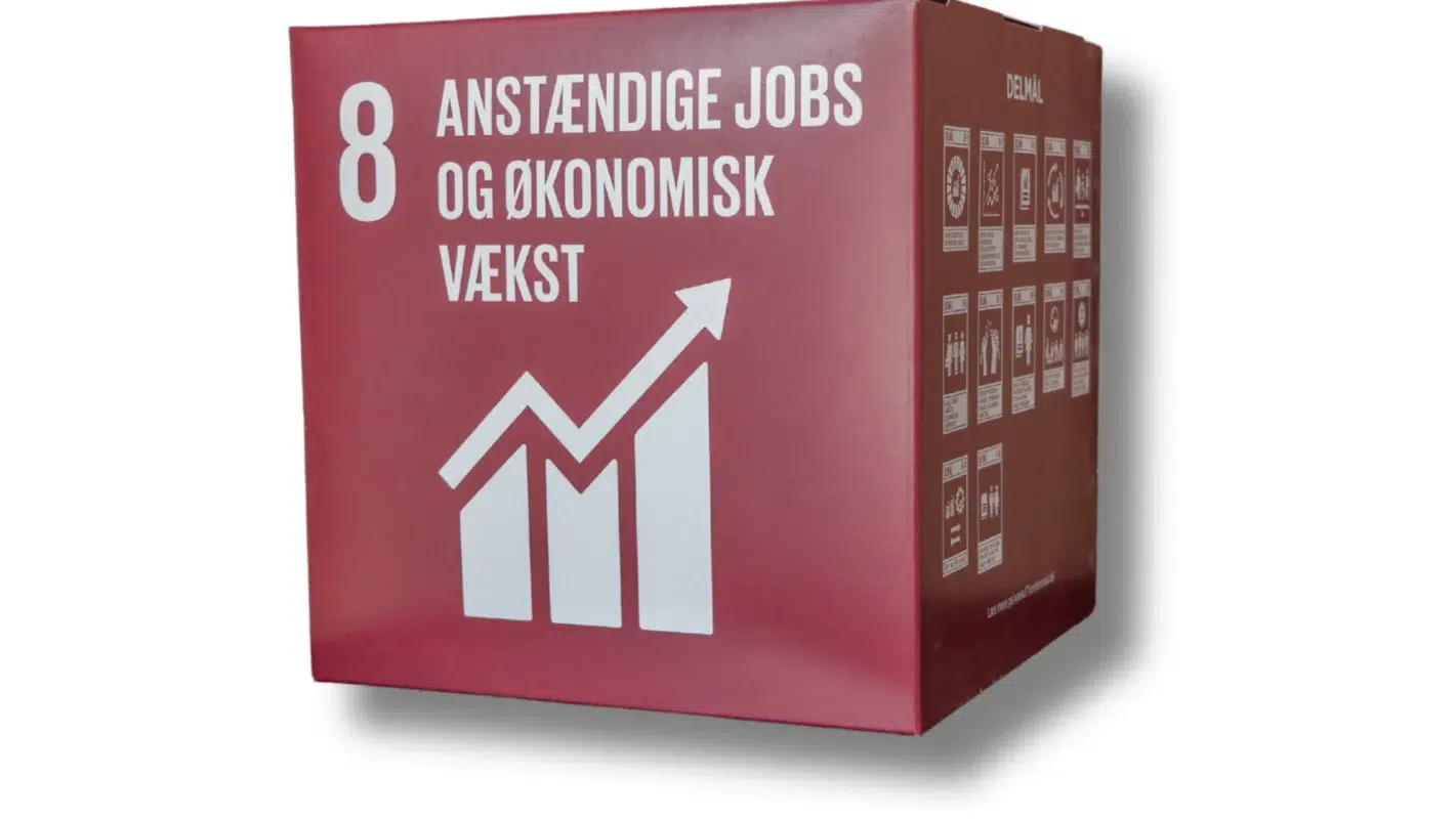 FN verdensmål 8