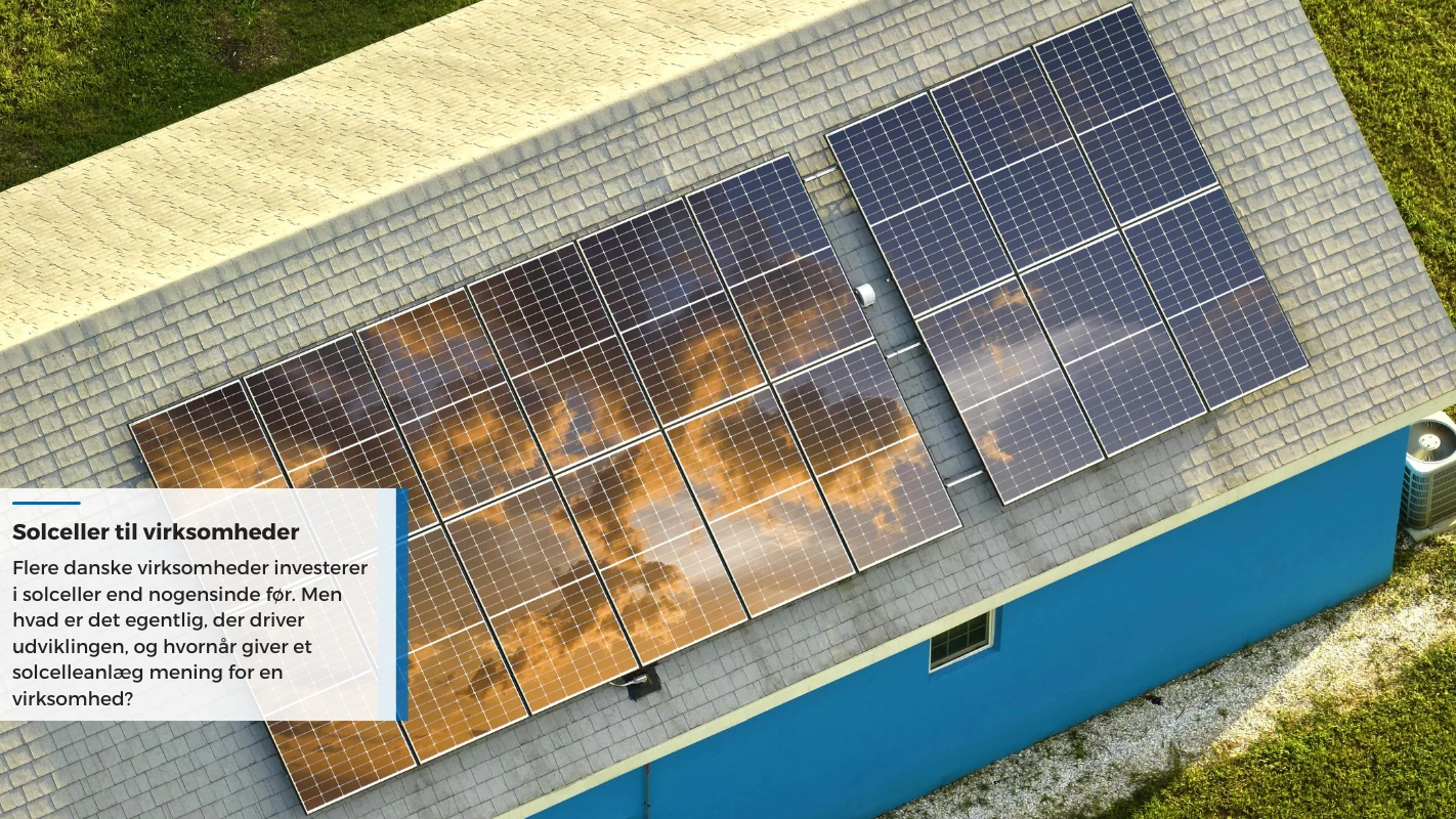 Thumpnail - blog - solceller til virksomheder
